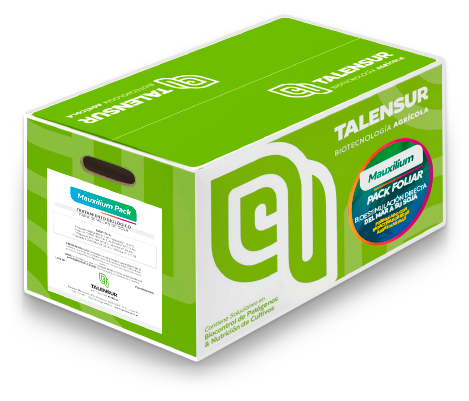 Maxilium Pack Foliar